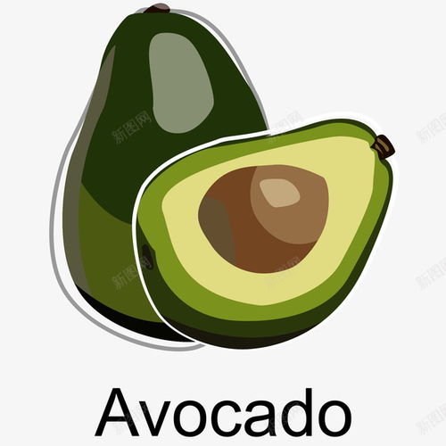 進(jìn)口牛油果手繪插畫矢量圖高清素材 平面 設(shè)計(jì)圖片 頁面網(wǎng)頁 平面電商 創(chuàng)意素材 png素材 綠色食品素材